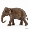 Schleich * | Coupon Schleich Asian Elephant Female