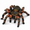 Schleich * | Coupon Schleich Tarantula