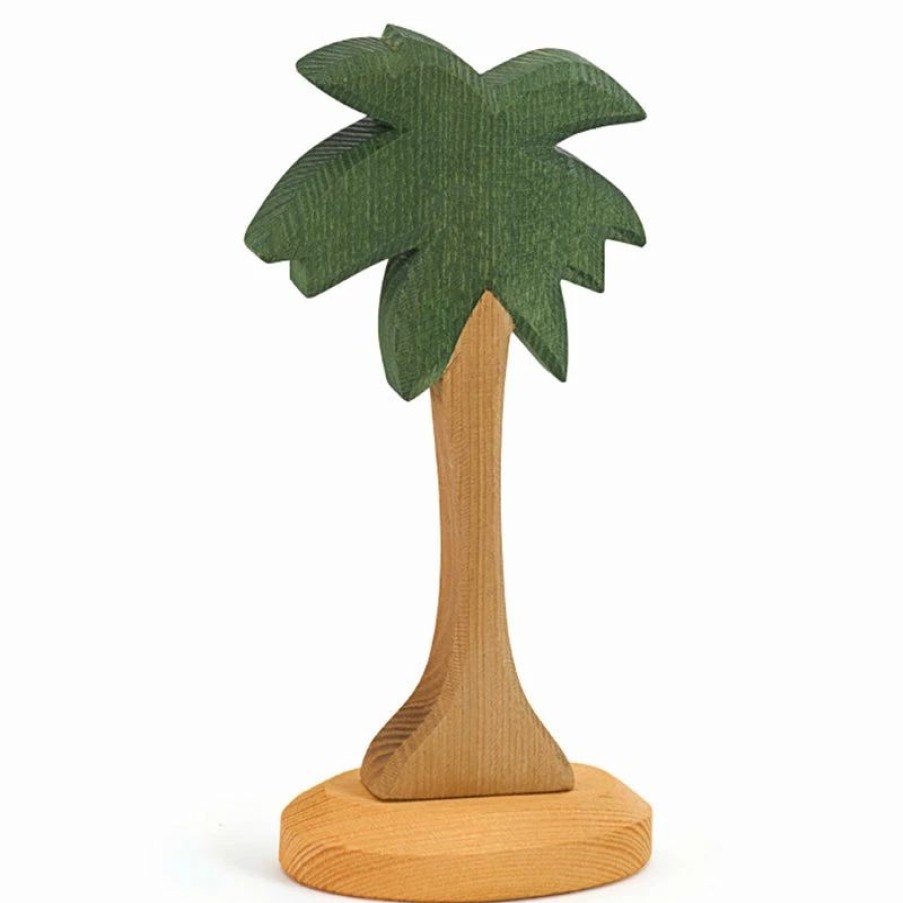 Ostheimer * | Top 10 Ostheimer Palm Tree