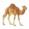 Schleich * | Coupon Schleich Dromedary