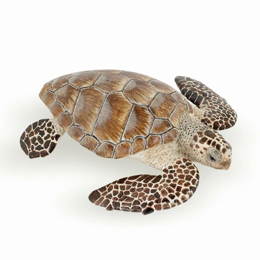 Papo * | Hot Sale Papo Loggerhead Turtle