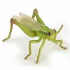 Papo * | Buy Papo Grasshopper