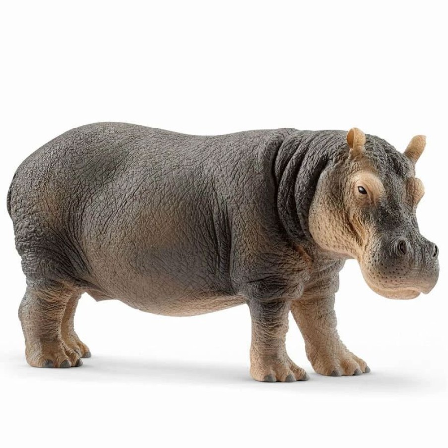 Schleich * | Cheapest Schleich Hippopotamus