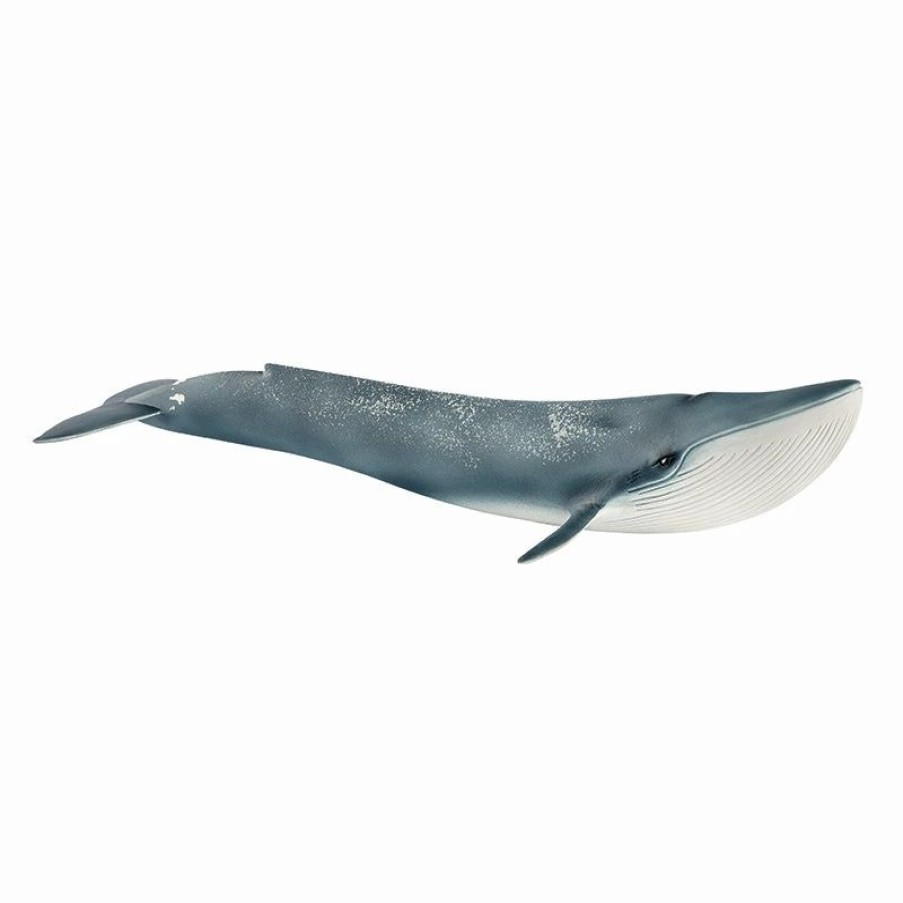 Schleich * | Hot Sale Schleich Blue Whale