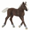 Schleich * | Buy Schleich Black Forest Foal