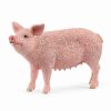 Schleich * | Best Reviews Of Schleich Pig