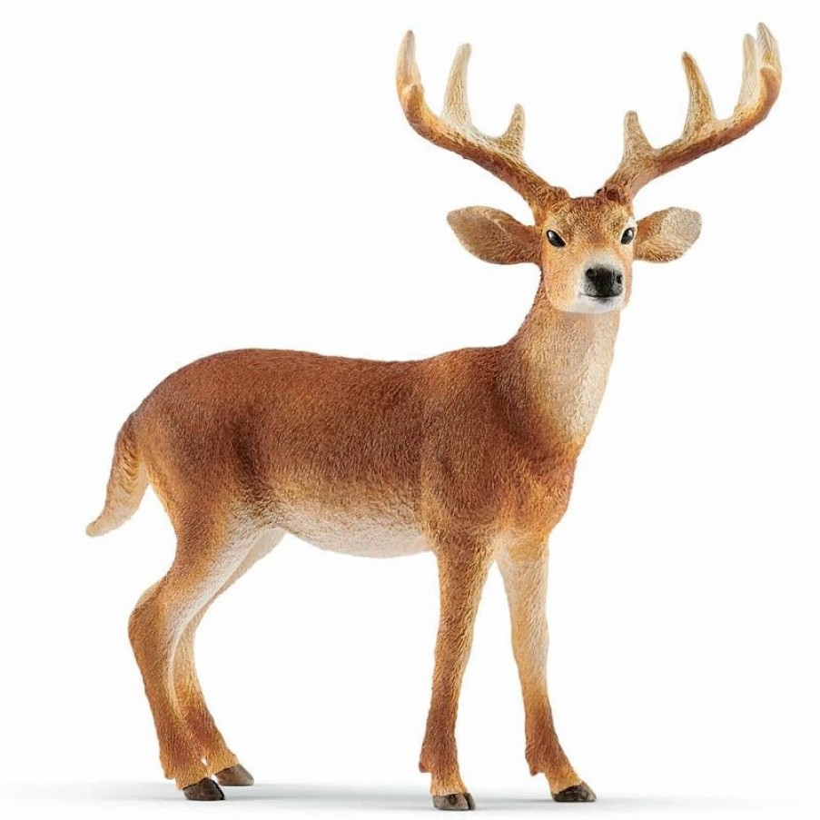 Schleich * | Top 10 Schleich White-Tailed Buck