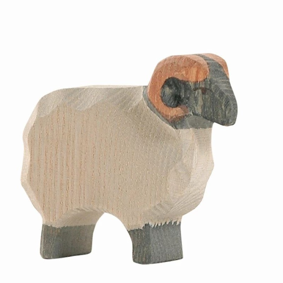 Ostheimer * | Cheap Ostheimer Moorland Ram