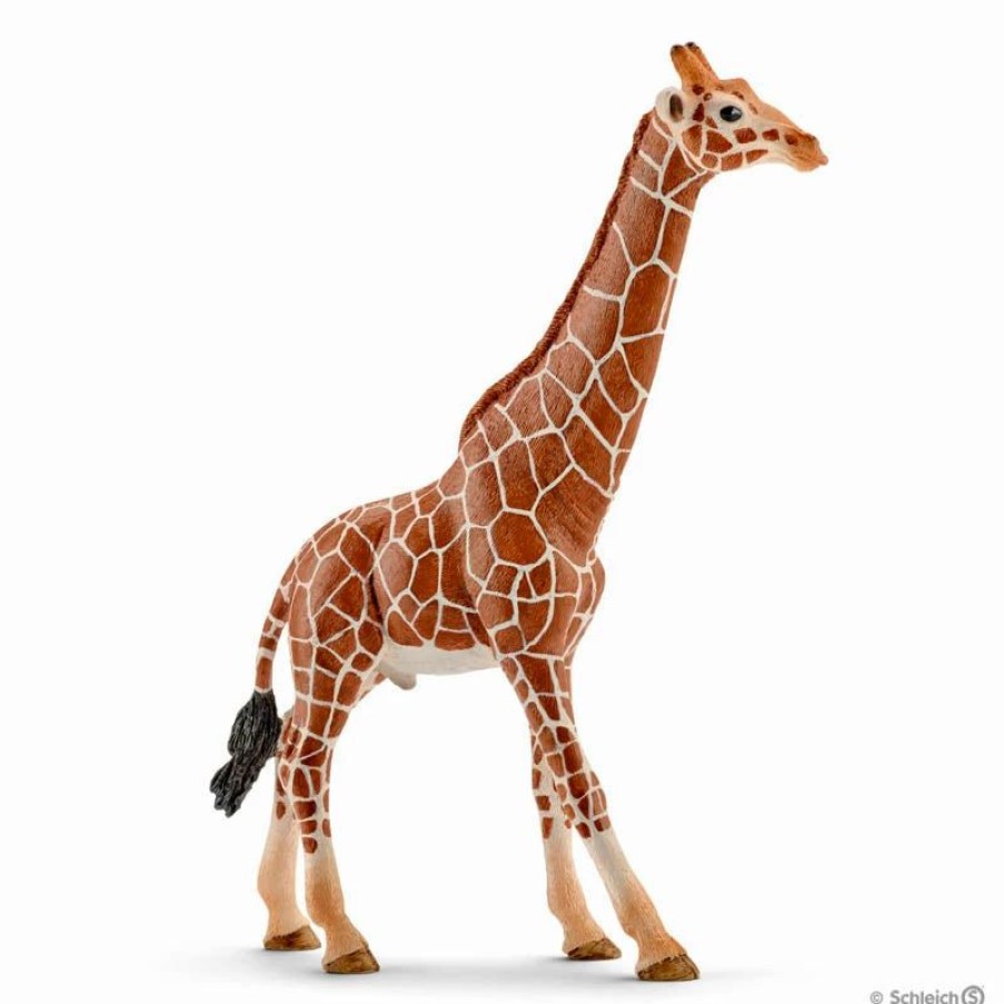 Schleich * | Top 10 Schleich Giraffe Male