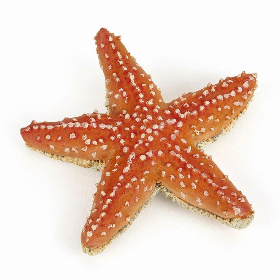 Papo * | Buy Papo Starfish